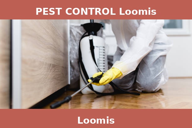 PEST CONTROL Loomis